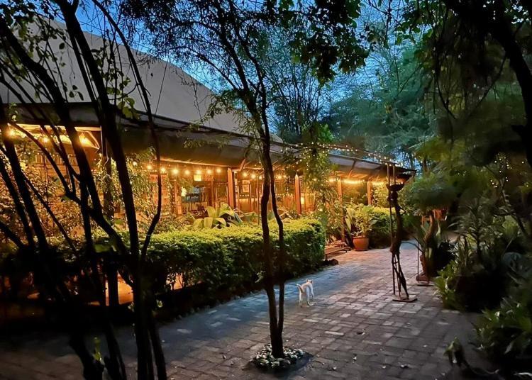 Ikweta Safari Camp Hotel Maua Eksteriør billede