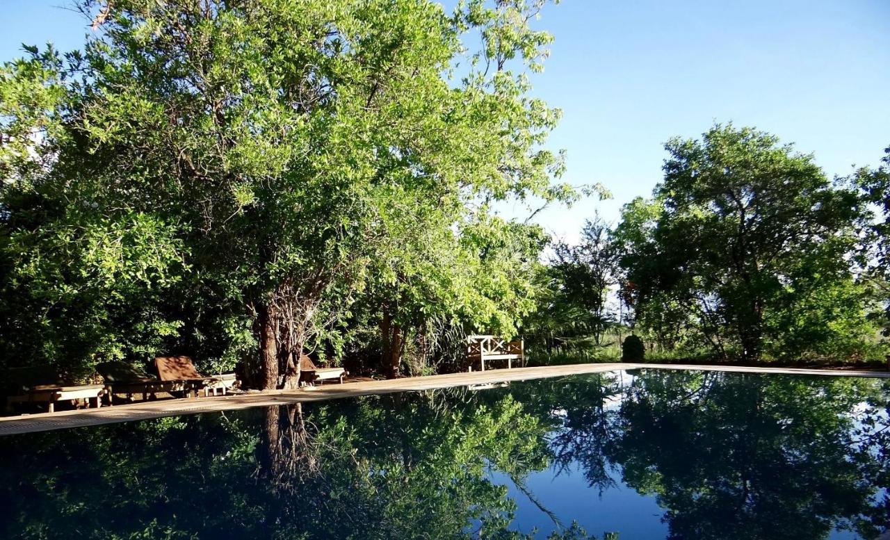 Ikweta Safari Camp Hotel Maua Eksteriør billede